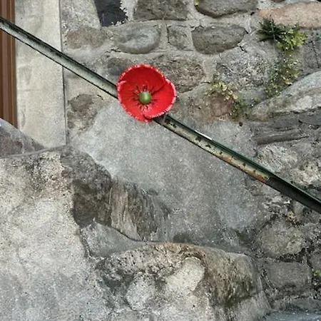 公寓 Du Cheylard Le Coquelicot